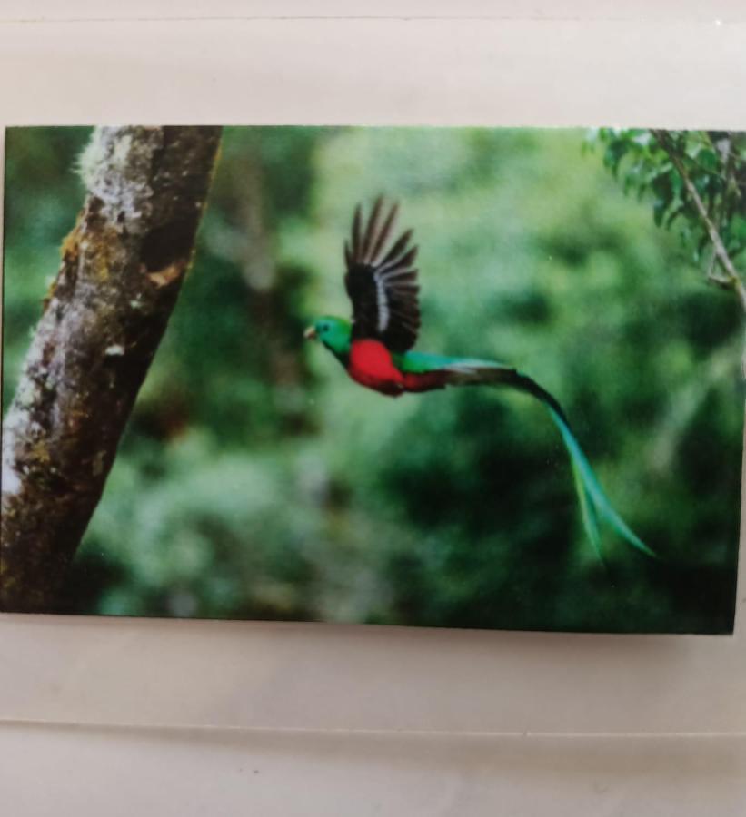 Quetzal Lejlighed Playa del Carmen Eksteriør billede
